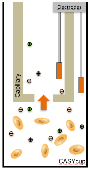 Principle Capillary CASY Cell Counter