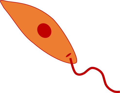 Pictogram Trypanosoma