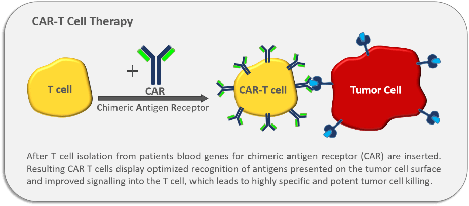 car-t cell therapy