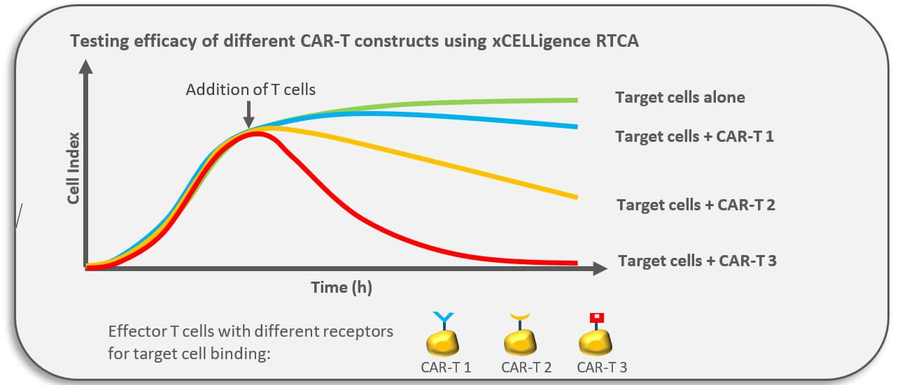 car-t constructs efficiency