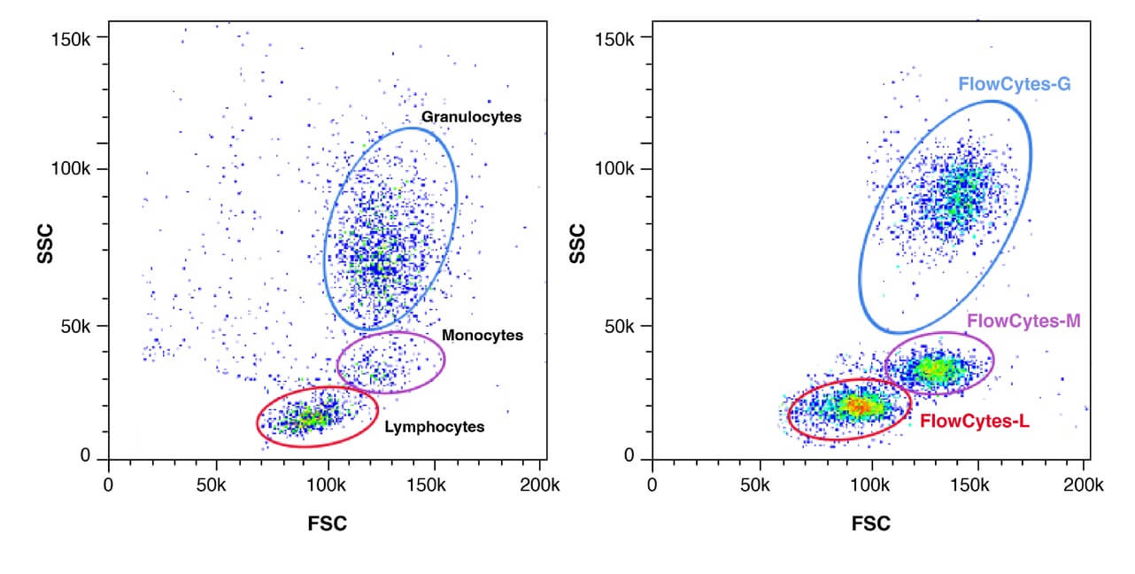 Flow Cytometry Synthetic Cells Lymphocytes, Monocytes, Granulocytes. 